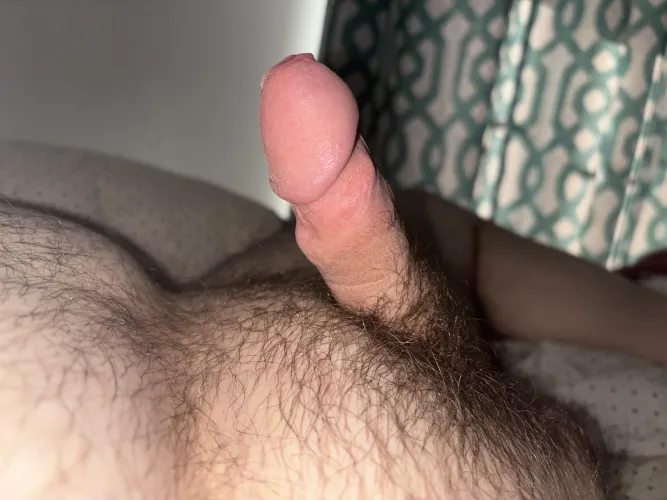 I haven’t had sex in years, I need a pussy badly by Hopeful-Sleep-3117