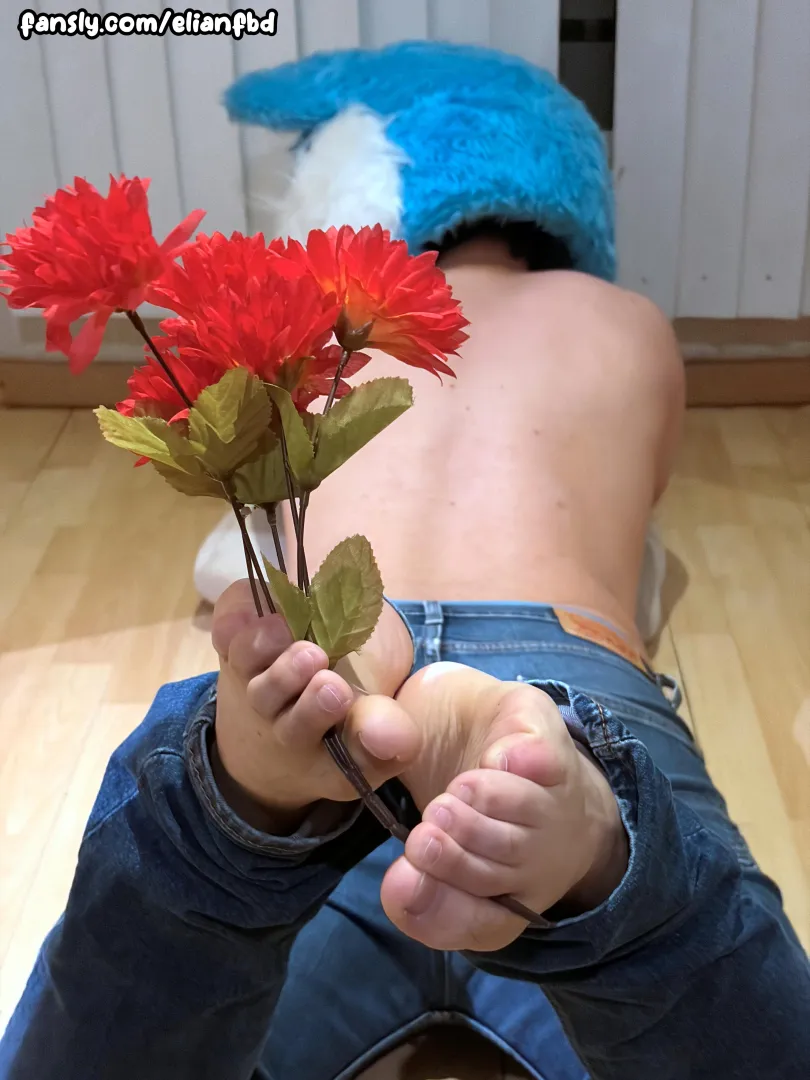 I hope you're having a wonderful Valentine's Day. posted by ElianFBD