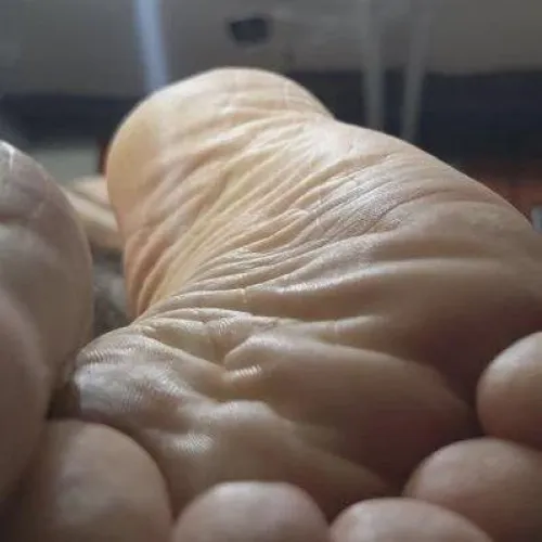 I know you want to lick and sniff by [deleted]