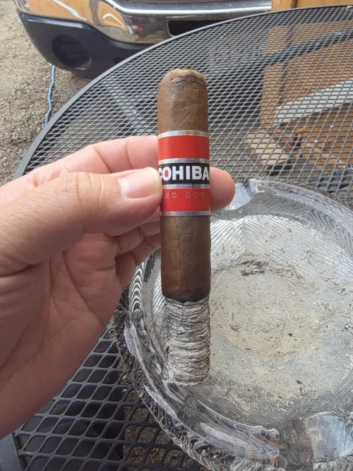 I like them. by avega2792