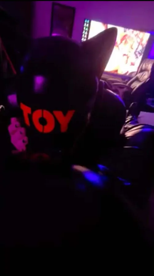 I love being a drone pup :3 by Skylightfurry