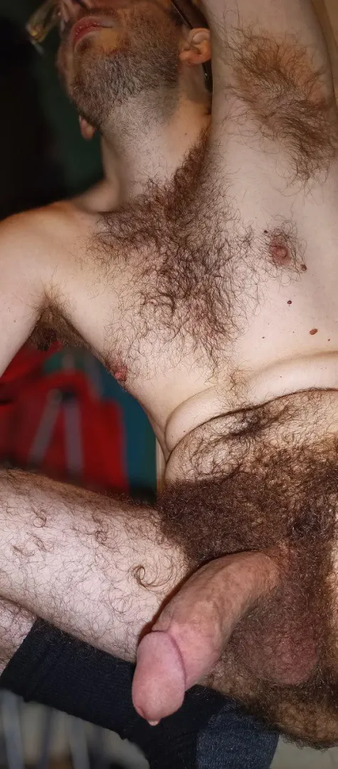 I love being hairy. Would you let me breed you? posted by SaonYuuhi