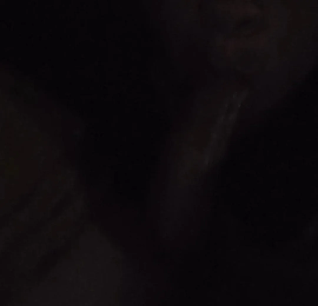 I love cocks.. posted by publicWhore12