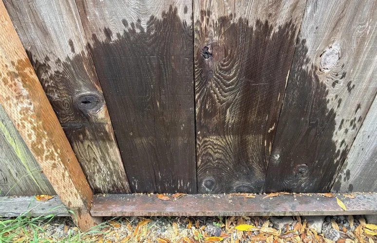 I Love Leaving My Mark by Ornate_Owl1