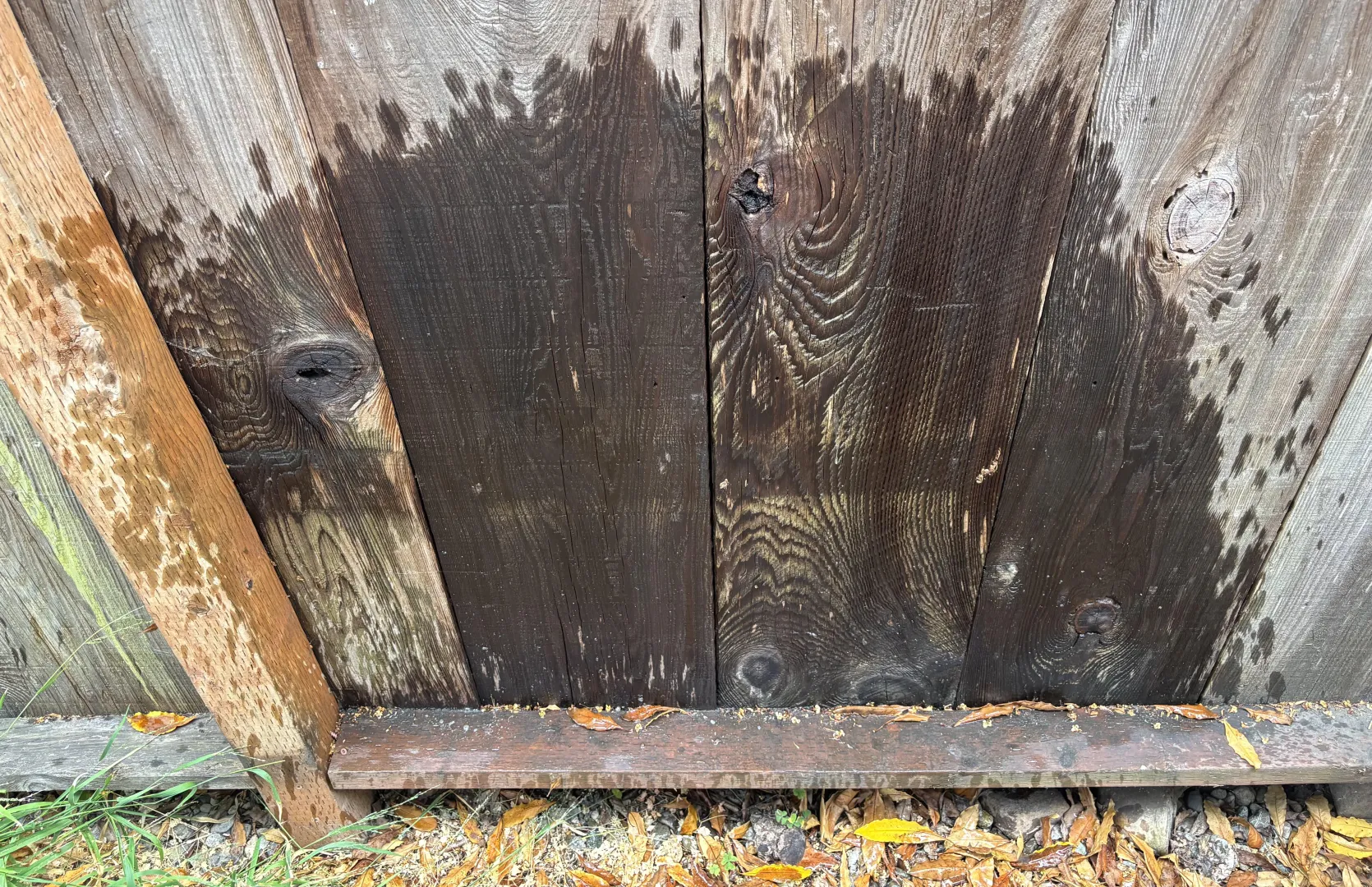 I Love Leaving My Mark posted by Ornate_Owl1