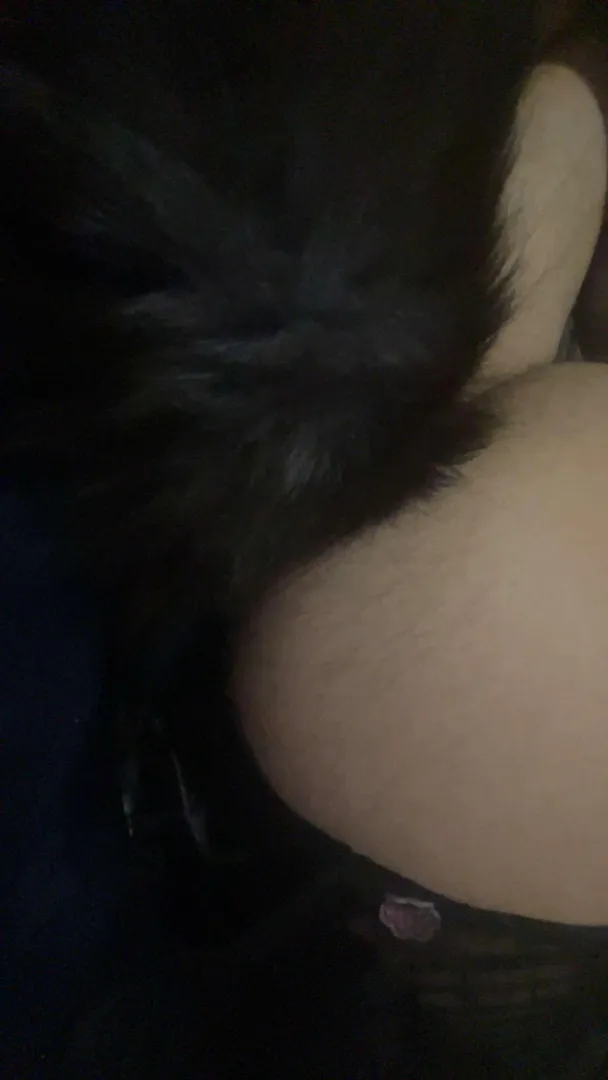 I love my tail posted by Wolfpack490