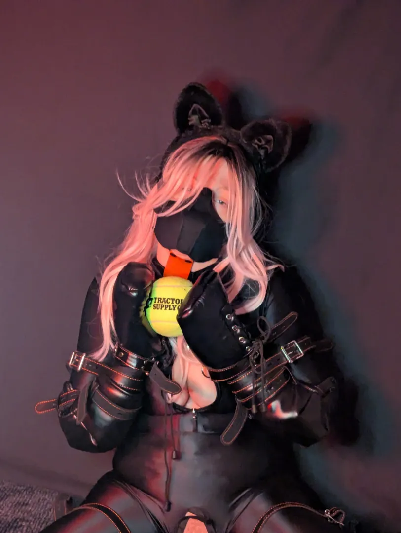 I love my tennis ball posted by Ravender_Star