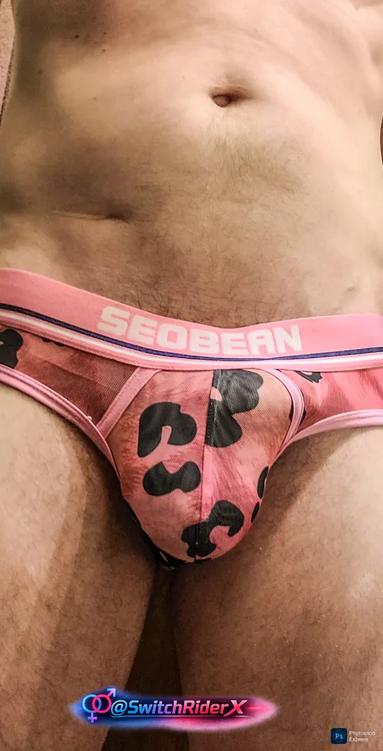 I love these undies  what do you think of them ?  posted by SwitchRiderX