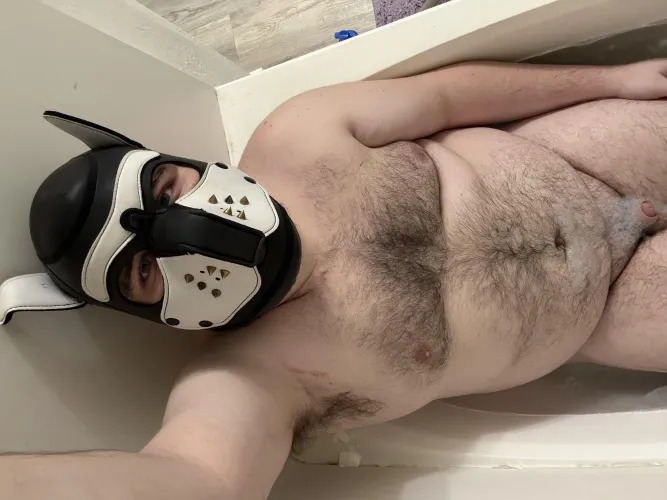 I need someone to collar me (28m) by SnooCakes6910