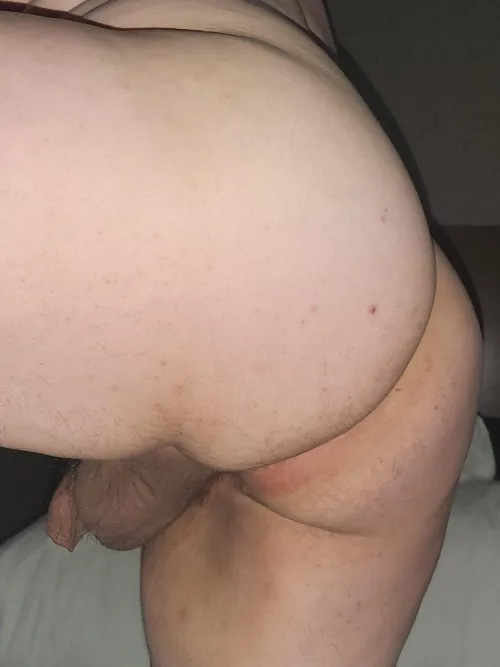 I need to get bred tonight by Easy-Entertainment61