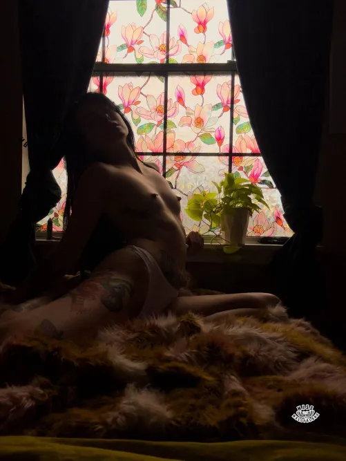 I redid my window area and I’m absolutely in love ! by Missmollyblake