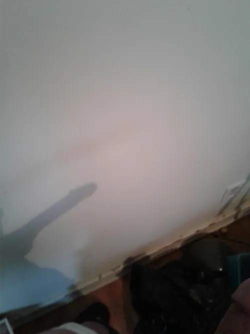 I saw my shadow by pghadventuretime