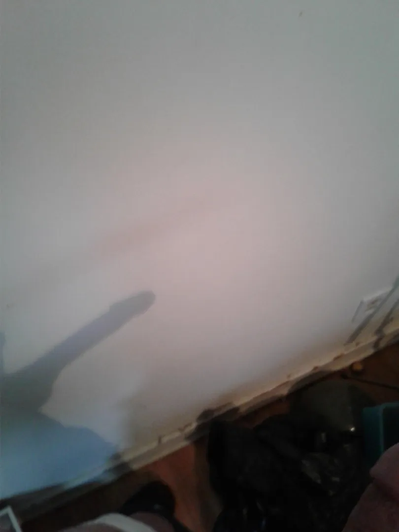 I saw my shadow posted by pghadventuretime