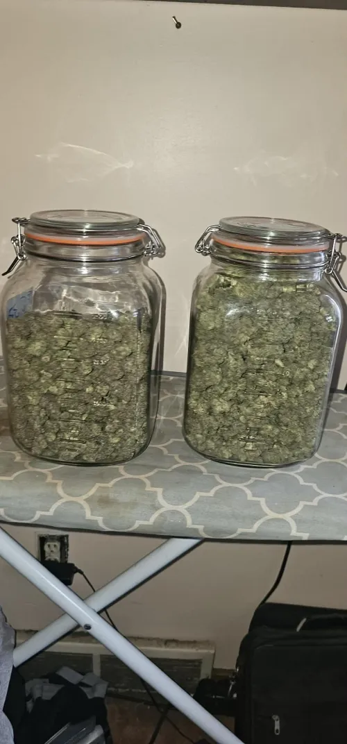 I smoke daily by Different_Media9269