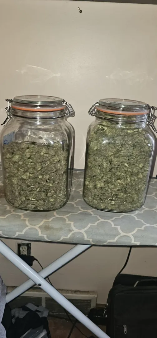 I smoke daily posted by Different_Media9269