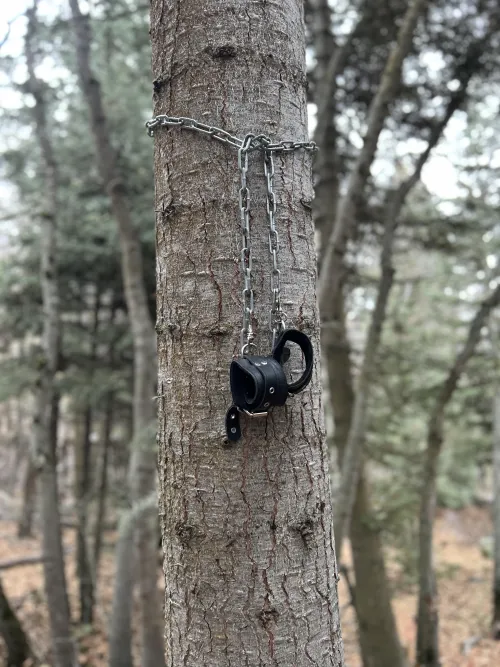 I solemnly swear that we are up to no good by Correct-Crow-7288