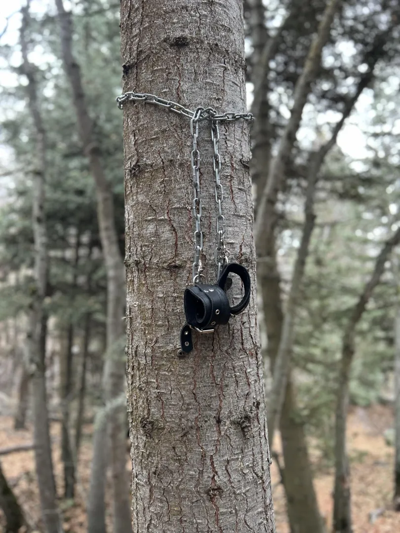 I solemnly swear that we are up to no good posted by Correct-Crow-7288