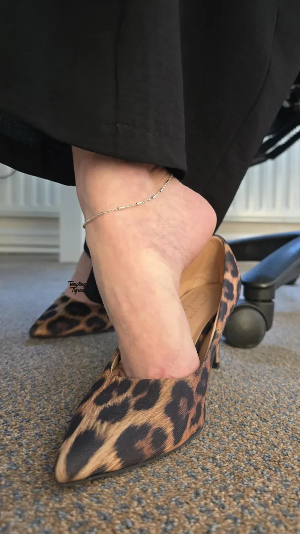 I think you noticed... posted by Tempting-Tigress