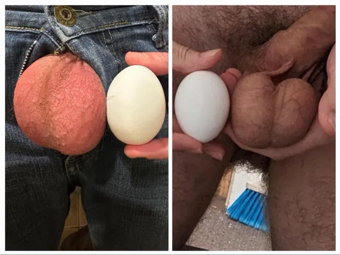 I u/burnoutgalaxy admit my CLEAR loss in ball size against u/InterviewFamiliar926. He’s on the left side, I’m on the right side. He used extra large eggs, I used standard large. The difference is obvious. by burnoutgalaxy