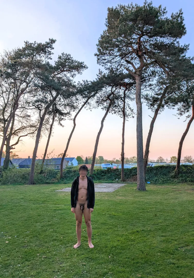 I want to be outside with the trees. posted by natureintention