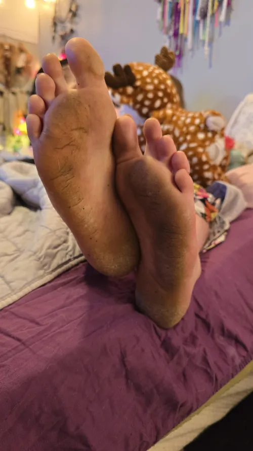 I want to put you to work today  by Solo_toes