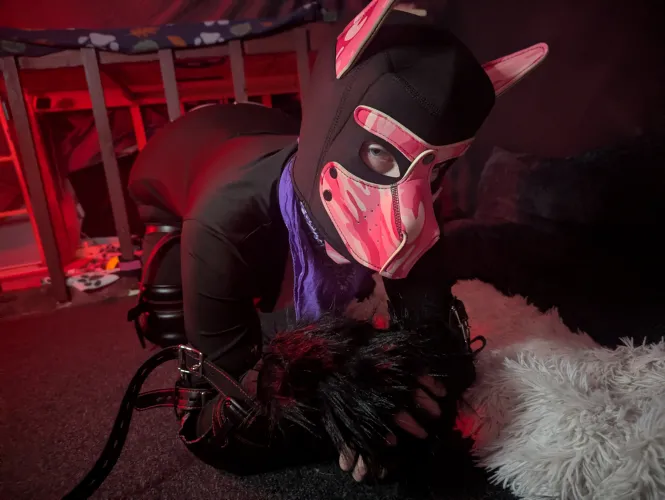 I was a baaaaad puppy girl by Ravender_Star