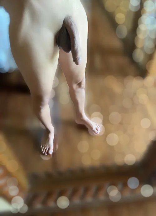 I was told I should post here by pigmeymarmoset