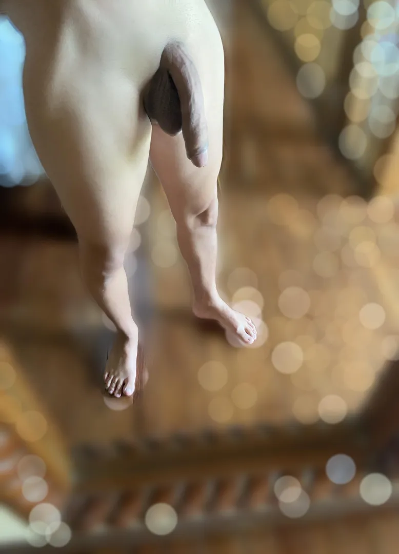 I was told I should post here posted by pigmeymarmoset