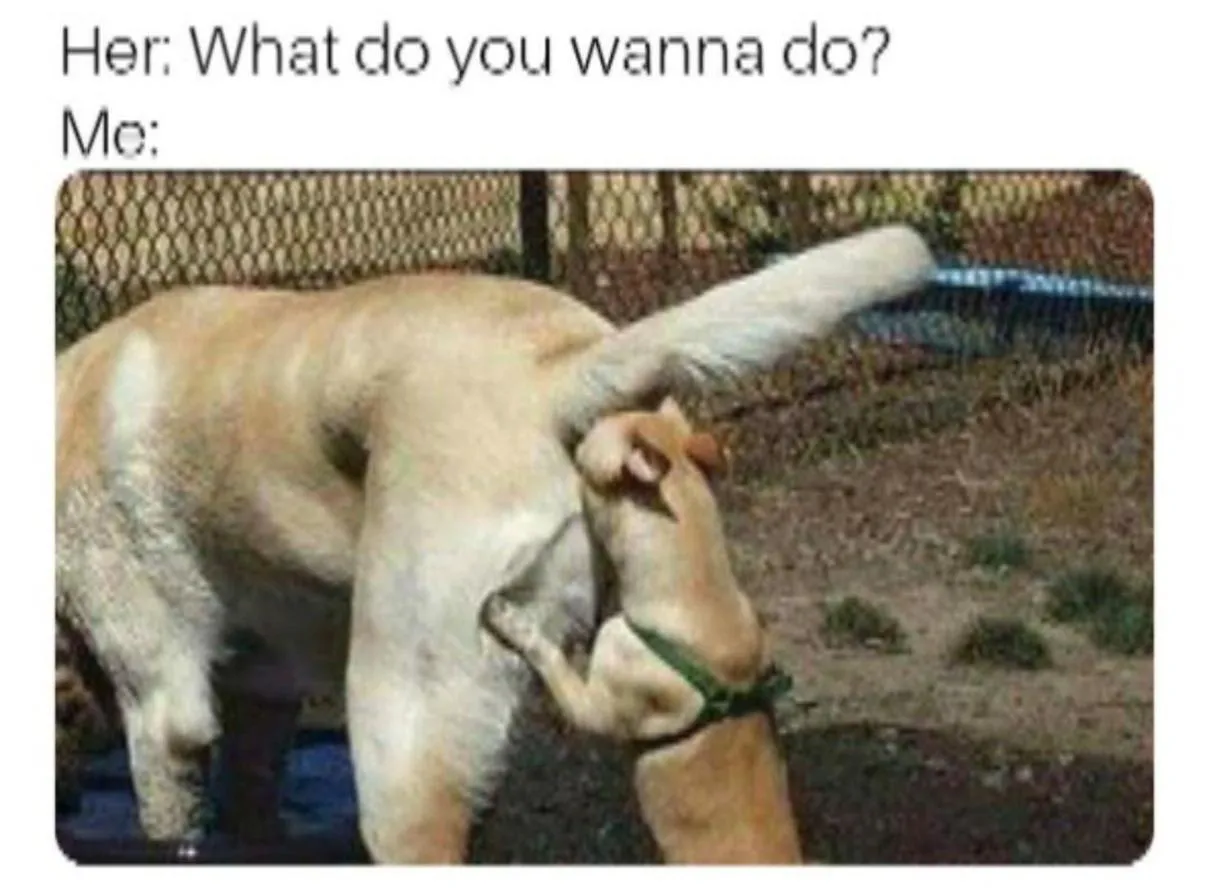 I will literally tongue-fuck her ass. posted by Altar_Of_Baphomet