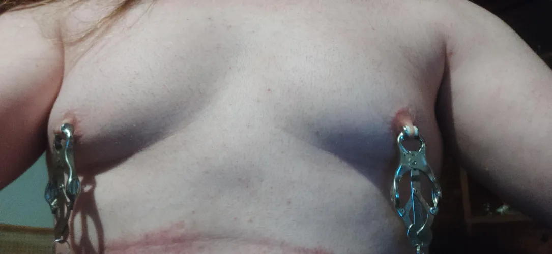 I wish I had proper tits to torment by AnarchoOwl