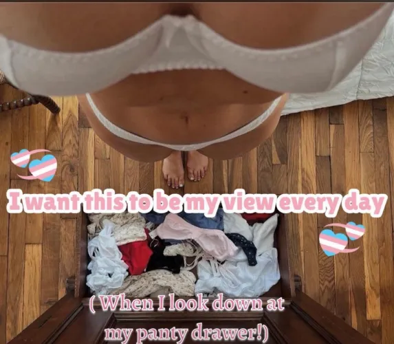 I would love to have beautiful breasts and a pretty bulge in my panties, would you by Dangerous-Chair-190