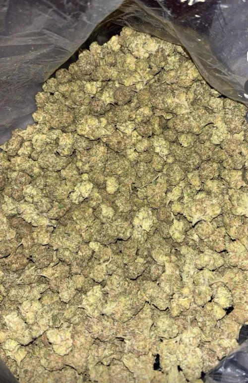 Ice Cream Cake by EquipmentPast9665