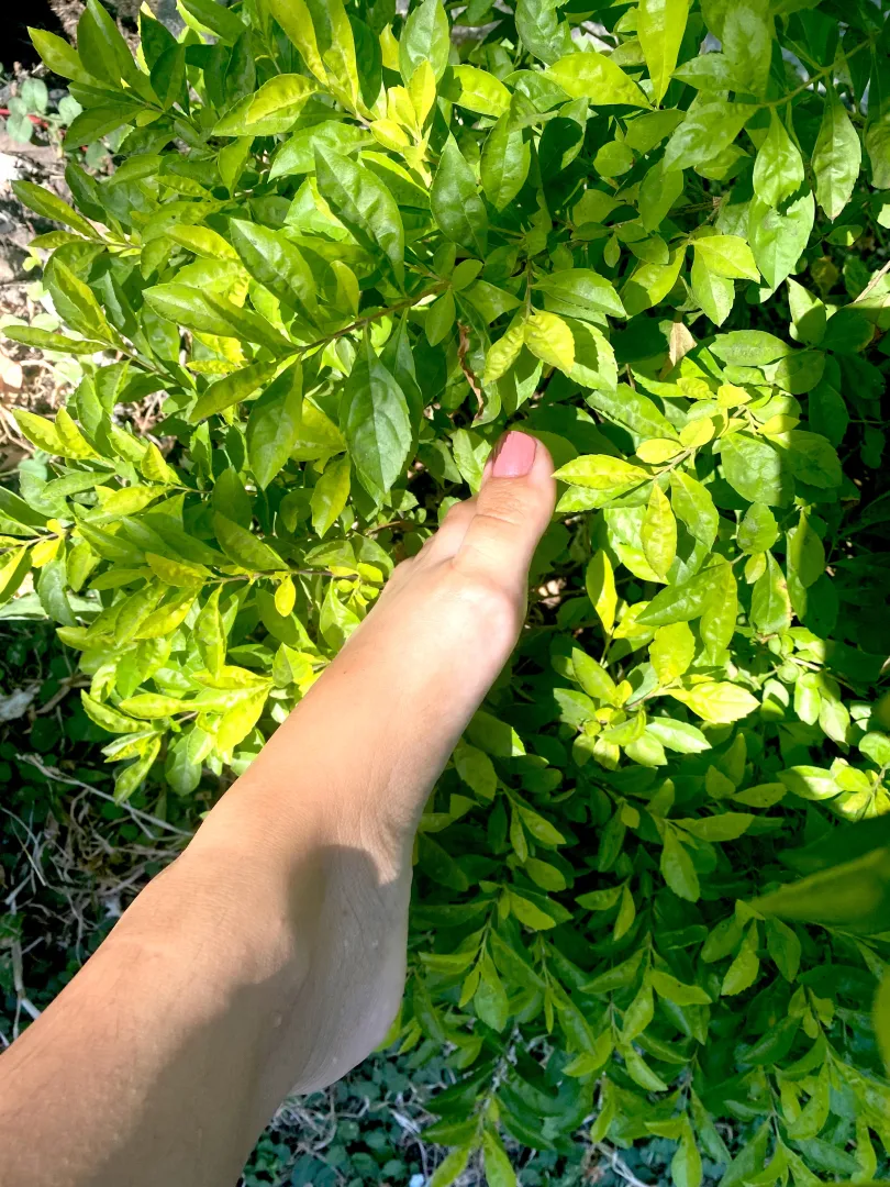 I'm a new creator, what do you think? posted by Alexa_only