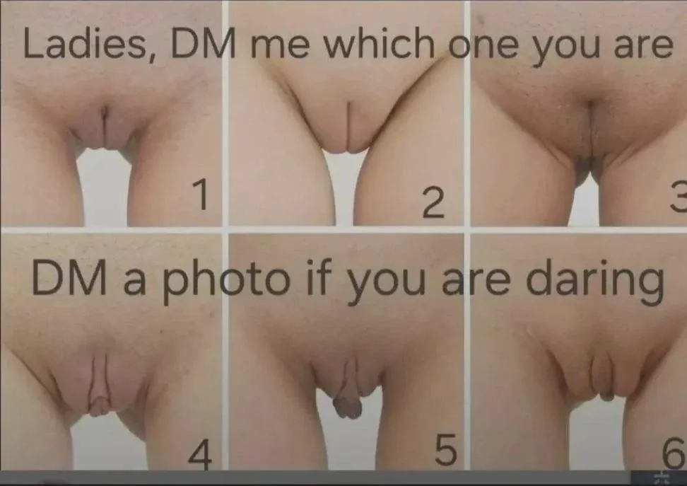 I'm curious posted by The_geko2707