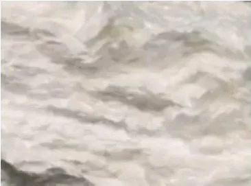 I'm going to have FUN this weekend!! posted by Different_Media9269