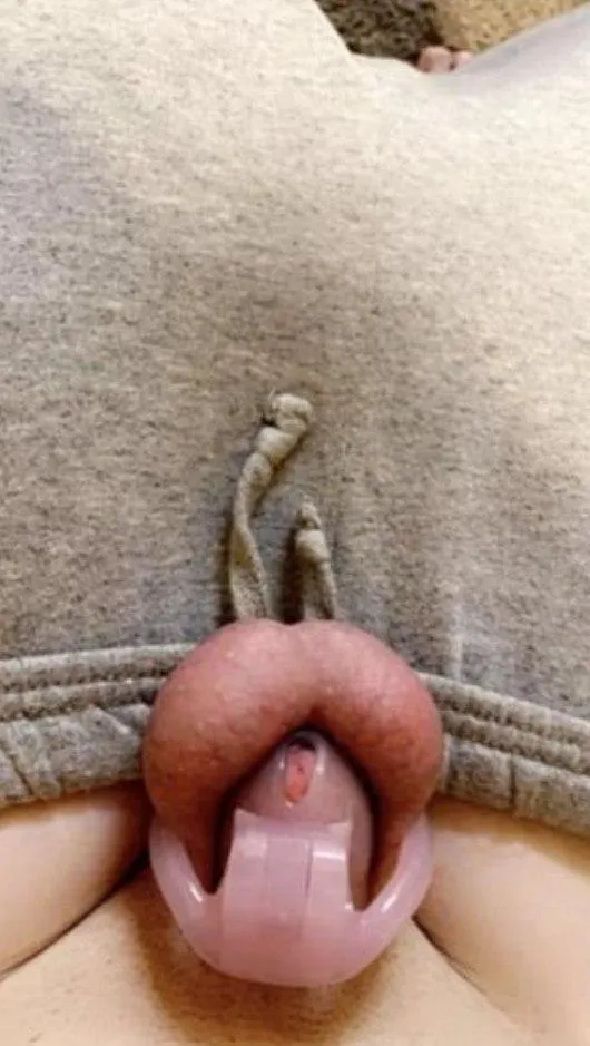 I’m really thinking about going permanent. I think I’m ready posted by Mountain-Height67