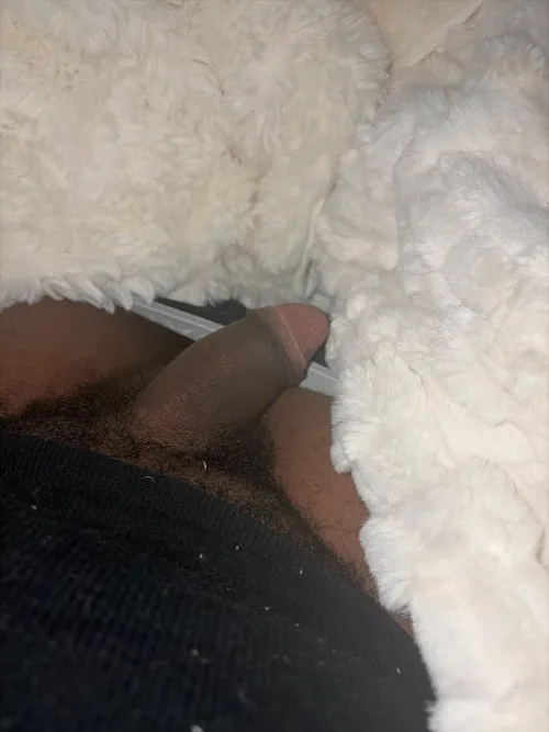 I’m soft I’ll do anything by lildihbblbear