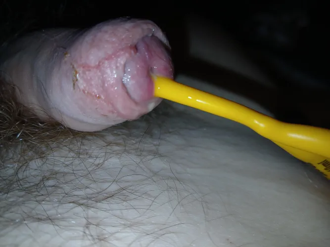 I'm stiff ant dripping by baak20001