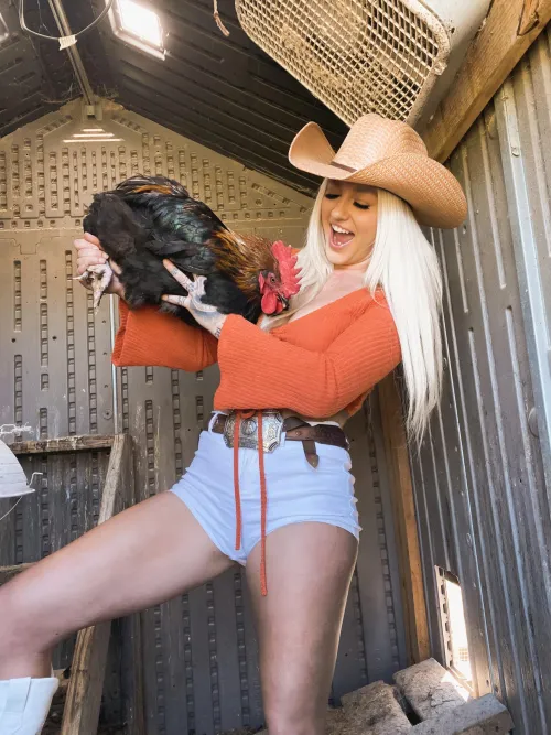 I’m sure there is a rooster joke to be made  by imcalliebaby_