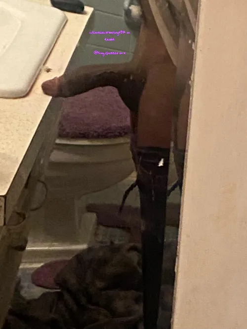 Imagine something like this on your face loverboy by Conscious_Meeting487