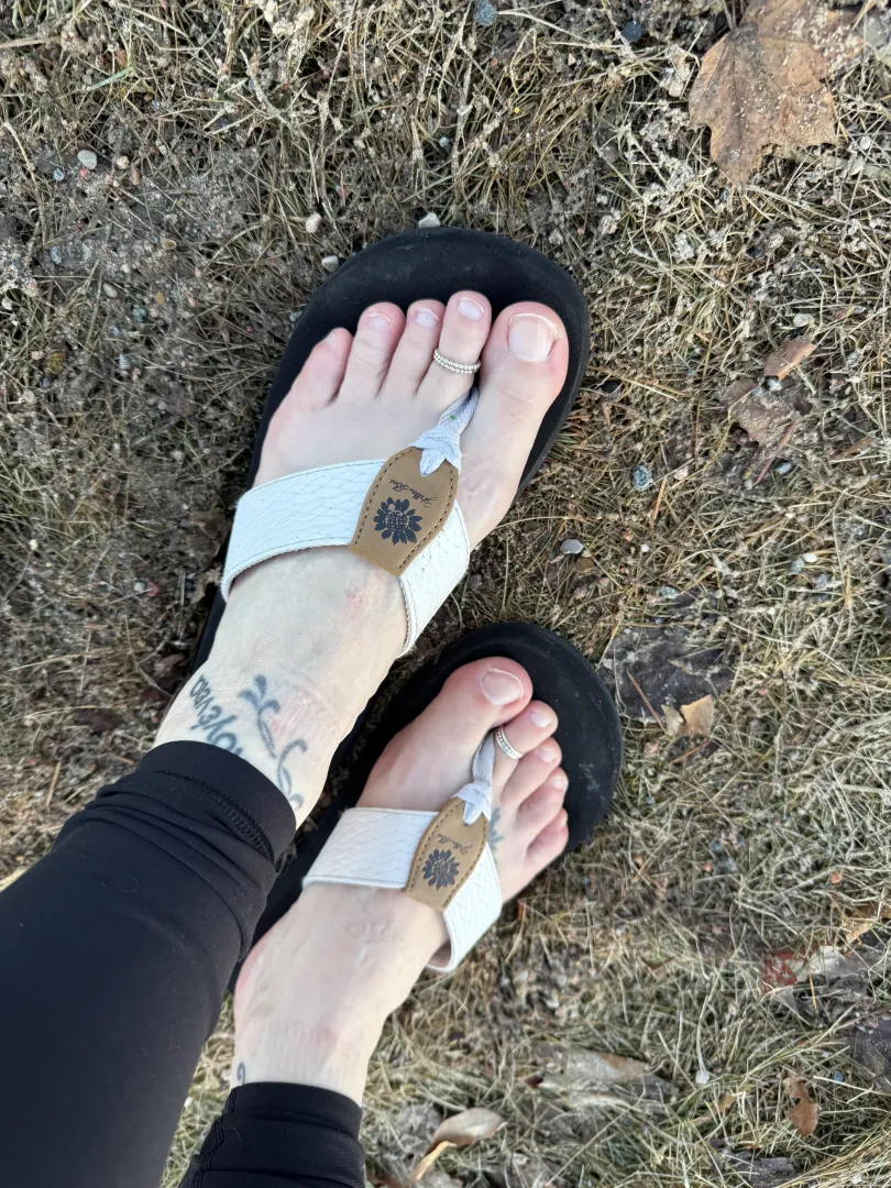 Impatiently waiting to get my toes in the grass! posted by Allicat19