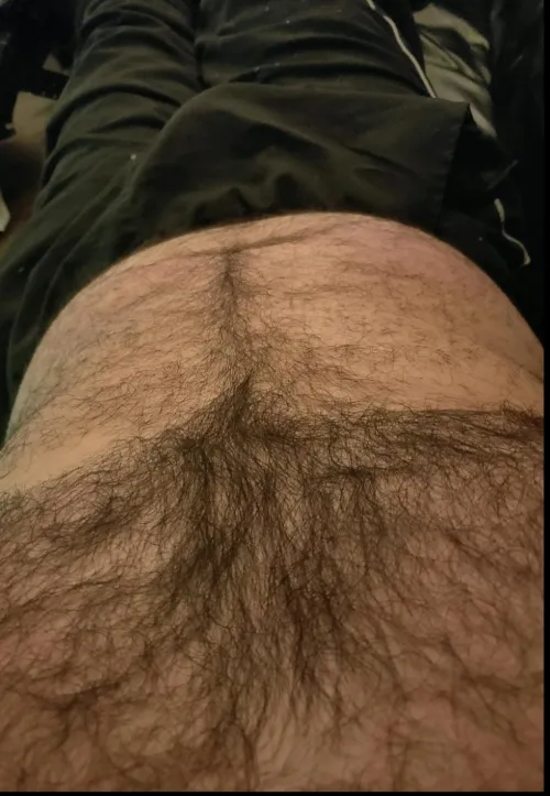 In from a few drinks. by HairyDiplodocus