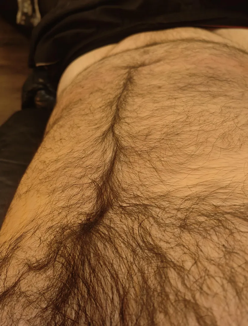 In from work. Stopped scrolling?? posted by HairyDiplodocus