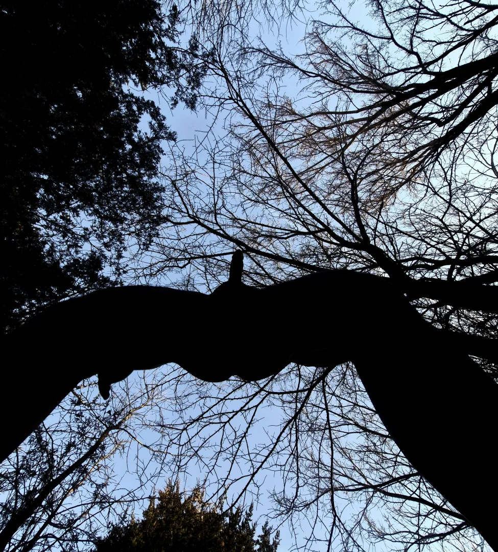 In Nature posted by MaskedNerdAfterDark