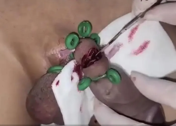 In progress… by CRColt