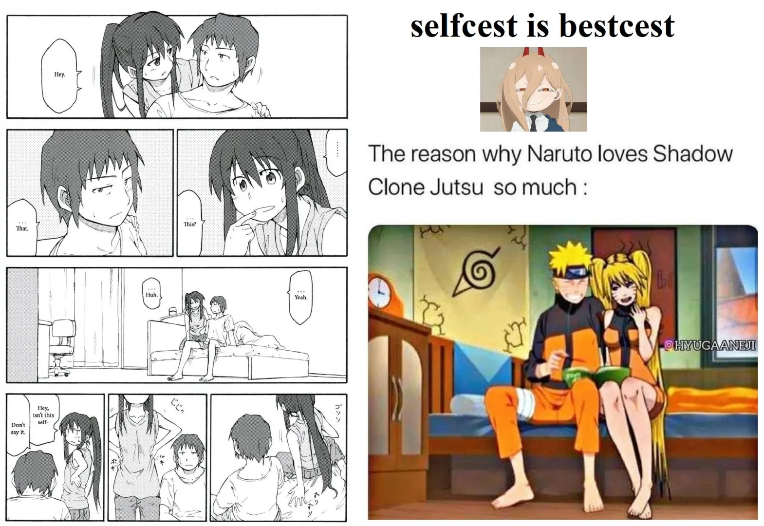 In the light novels Kyon (from Haruhi Suzumiya) eventually meets a female clone version of himself... ofcourse artists knew what needed to be done... posted by MisakiPuru_Puru