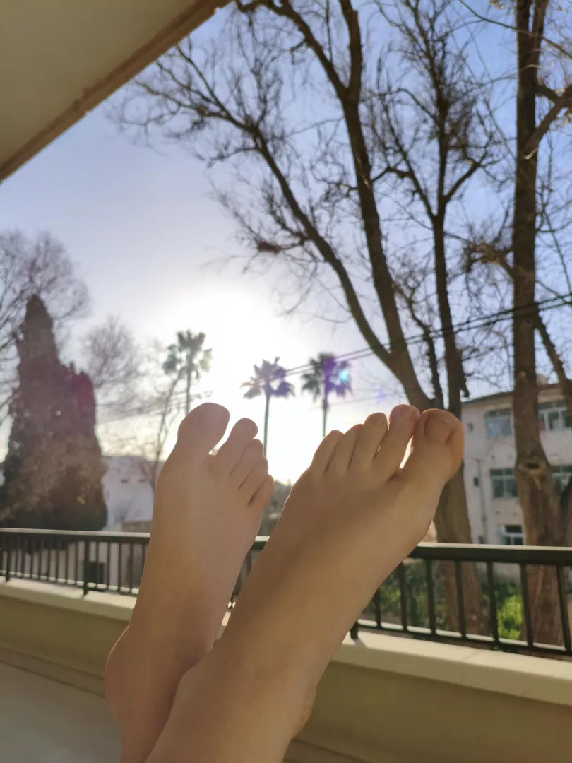 In the rich sunshine... posted by _softsteps_