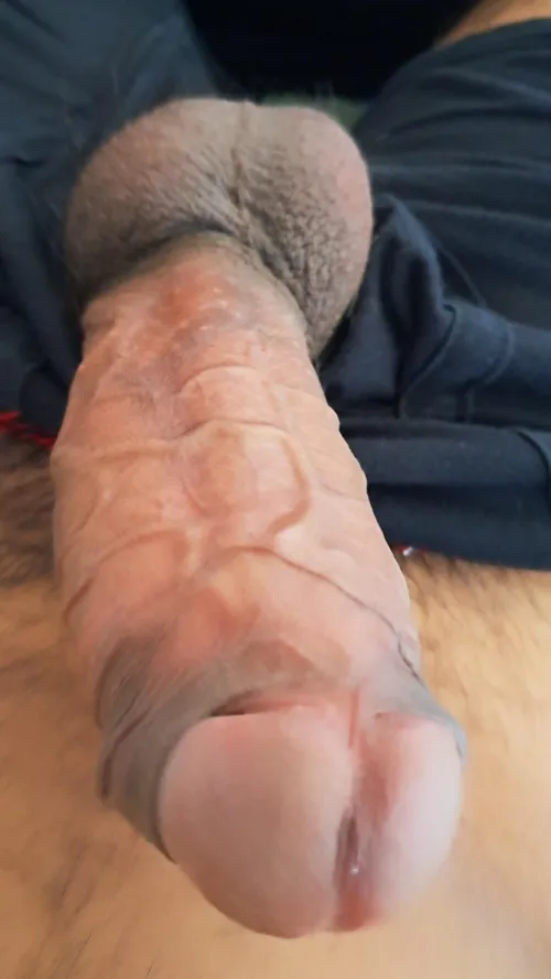 Indian m 22 by M22_6_7