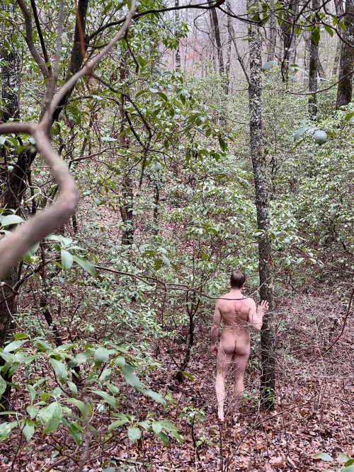 Into the wild woods by bareassadventures