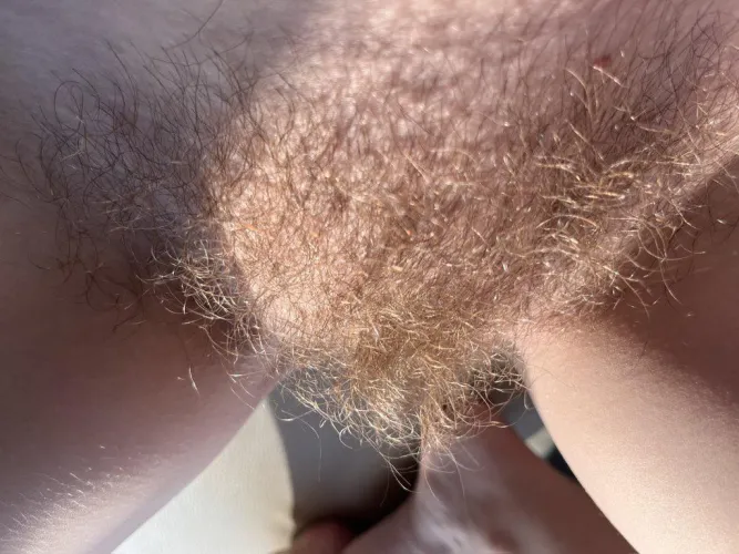 Is ginger bush your favorite? by abbysunny